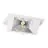 LED Downlight Wallwasher Wally Mittel Weiß 27W 3850lm 78x100D - 840 Kaltweiß - 238x145mm