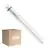 Lot 10x Philips MASTER LED T8 (EM/Direct 230V) High Output T8 11.3W 2000lm - 830 Blanc Chaud | 120cm - Équivalent 36W
